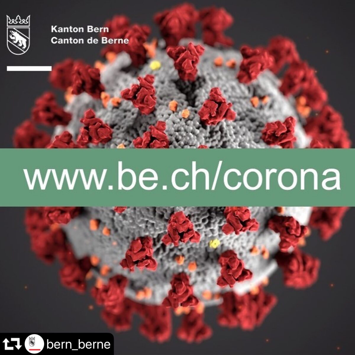 70954B7C-5EA1-460D-8AD9-03574DDB5BE8