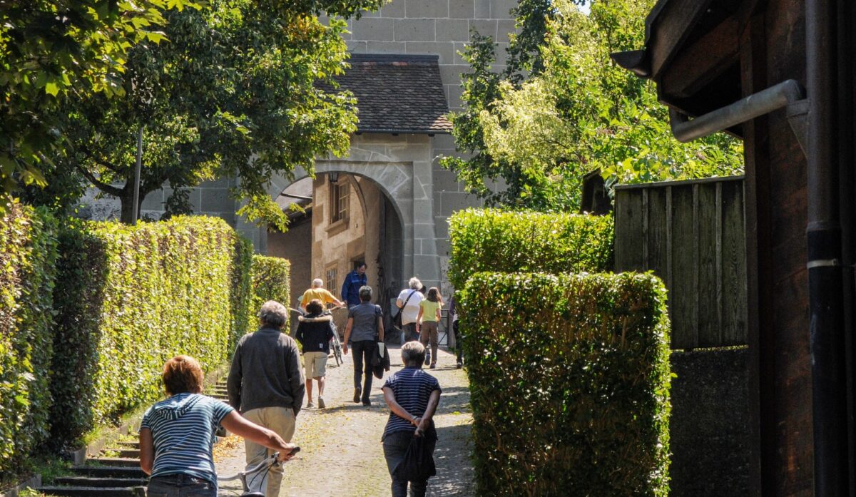 20260509_Maimarkt_web